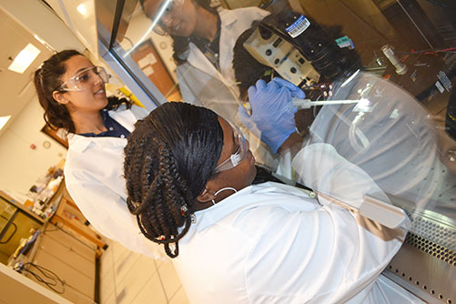 I-MRSEC undergrad Angela Johnson conducts her research in the Diao Lab while her grad student mentor, Prapti Kafle, looks on.