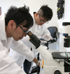 Taiwanese trainees work in Illinois lab.
