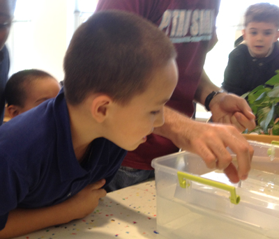 BTW student watches his boat to see how many pennies it will hold.