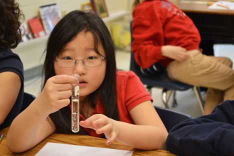 Third grader at Barkstall Elementary.