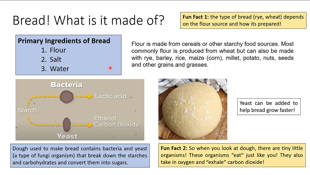 ENVISION students' slide about bread making. 