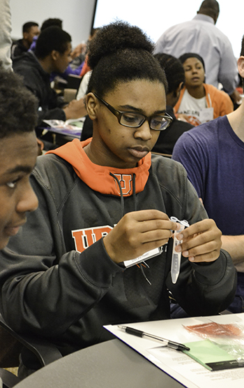 A UHS student starts the DNA extraction activity.