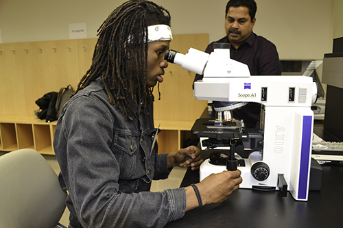 A UHS student uses a microscope to view some samples in the IGB's training lab.