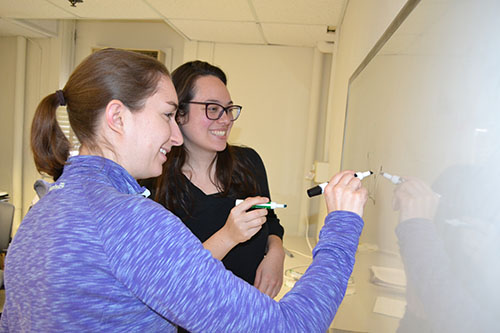 Winter Math Carnival co-coordinators: Elizabeth Field and Simone  Claire Sisneros-Thiry.