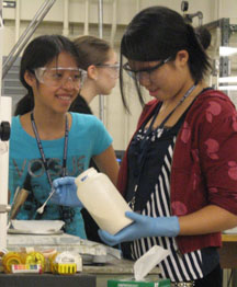 G.A.M.E.S. participants working in lab.