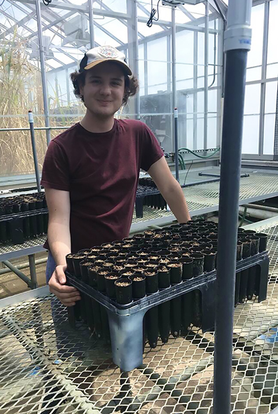 James Kosmopoulos works on his research in the plant sciences greenhouse.