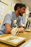 Daniel Urban, a grad student from the School of Integrative Biology's Animal Biology Department
