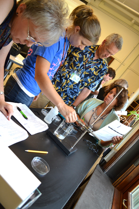 Teachers perform hands-on activity during biology session.