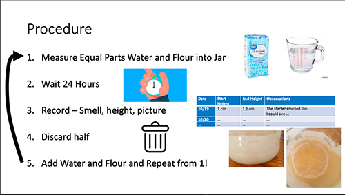 ENVISION team slide shows students the procedure they were to use to create their sourdough starter. 