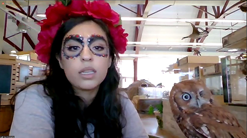 Sophia Vela, a Chicago State University Geography graduate student. with Zamboni, the Eastern Screech Owl.