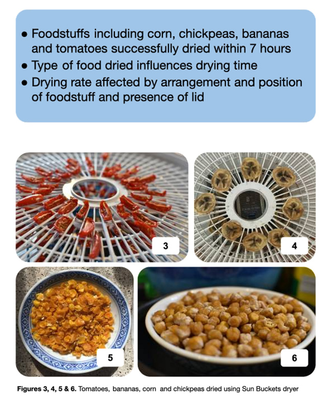 A slide presented during POETS' final poster session showing various fruits and grains Jasmine O'Connor and Lily Weaver dried as part of their research.