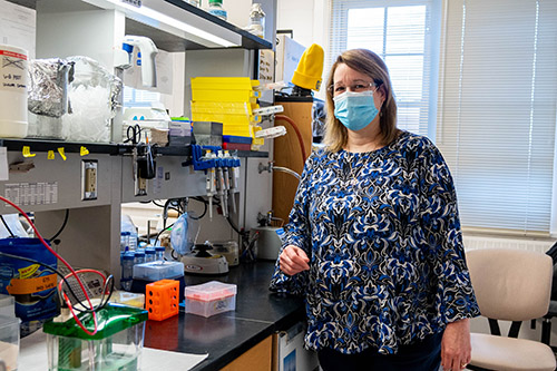 November 10th Lecturer: Dr. Susan Martinis, Biochemist and Vice Chancellor for Research and Innovation. (Image courtesy of Melissa M. Edwards.)