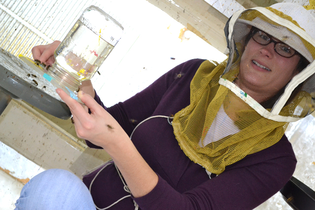 Beryl Jones at Bee Research Facility on campus.