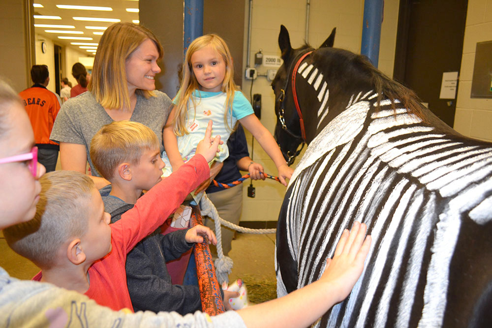 A group of young visitors pet Lucy the horse.