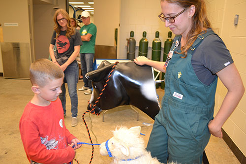 Hailey Houdek teauches a young visitor how to harness a sheep.