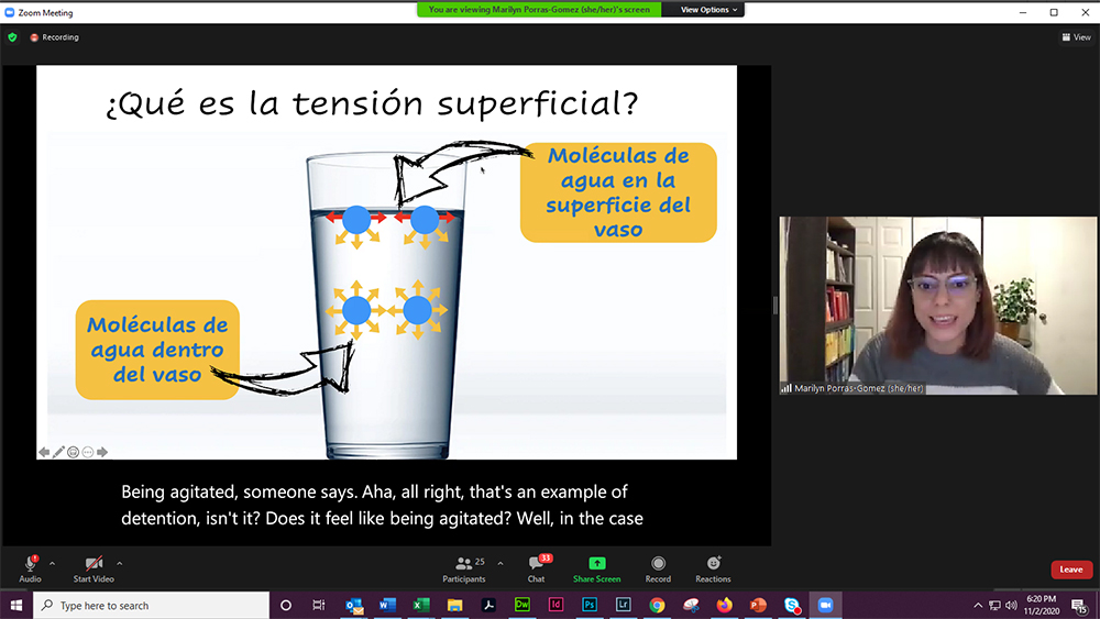 Marilyn Porras-Gómez presents a slide about surface tension during her Zoom presentation. 
 </div>