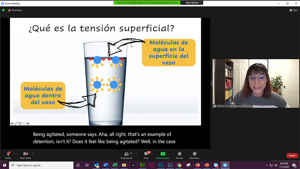 Marilyn Porras-Gómez presents a slide about surface tension during her Zoom presentation. 
 </div>