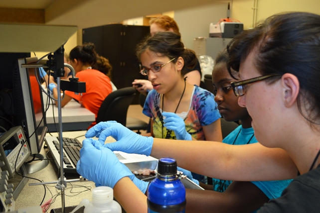 Campers learn about neuromuscular electrical stimulation during a hands-on project involving frog legs.