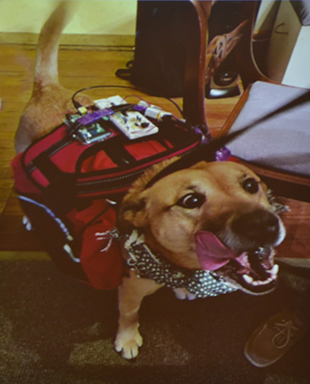 Penny during her EEG test. (Image taken from Powerpoint presentation given during SWE's Engineering exploration outreach.)