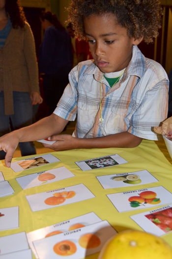 Robert King junior works to match fruit hybrids with their parents.