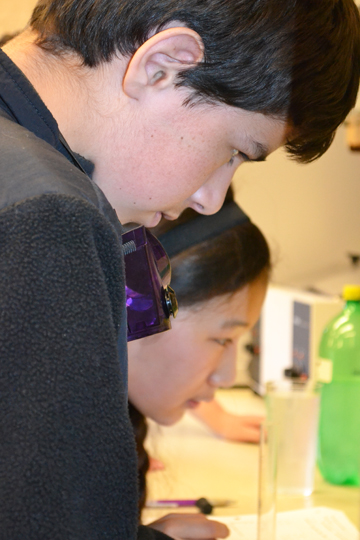 Michael Rivkin and Angela Lee competing in the Water Quality event.