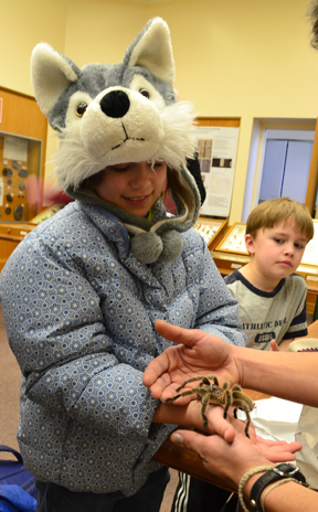 Visitor to the Expo gets a chance to hold Cecil the tarantula, while her younger brother watches.