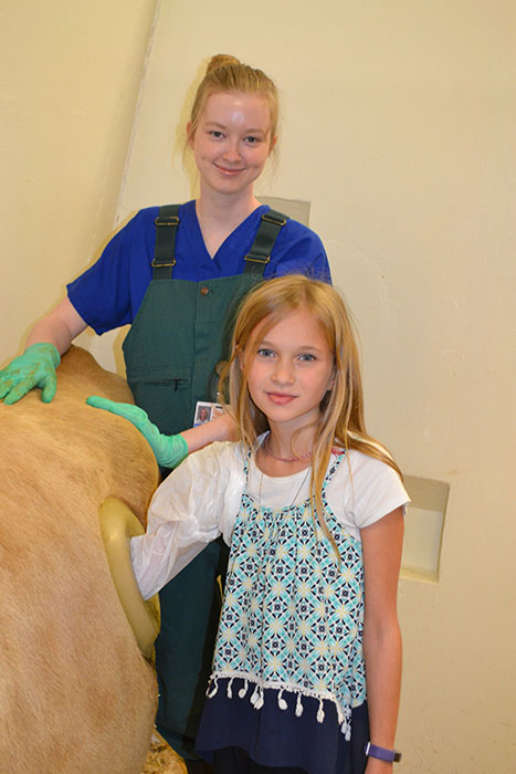 Vet Med student Brittany Stark guides a young visitor as she inserts her arm into a fistulated cow.