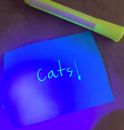 A secret message written in invisible ink, which a student revealed using UV light. (Image courtesy of Pamela Pena Martin.)