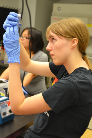 GLAM camper examines stem cells she is working with.