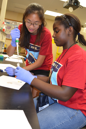 Girls perform a task during the "Glowing Bacteria" session.