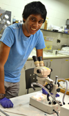 Vikram Bagchi performing research on the navel orangeworm in the Berenbaum lab.